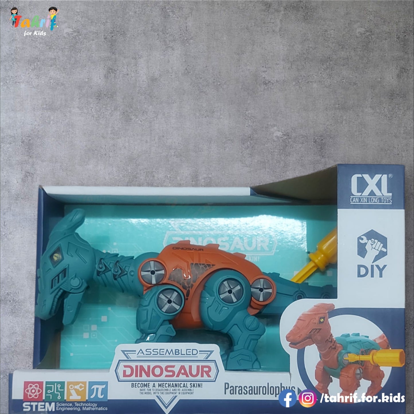 Assembled Dinosaur