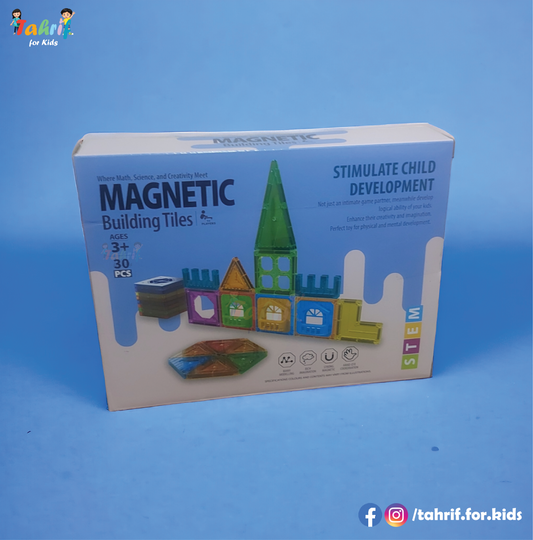 Magnetic Building Tiles (30 Pcs)